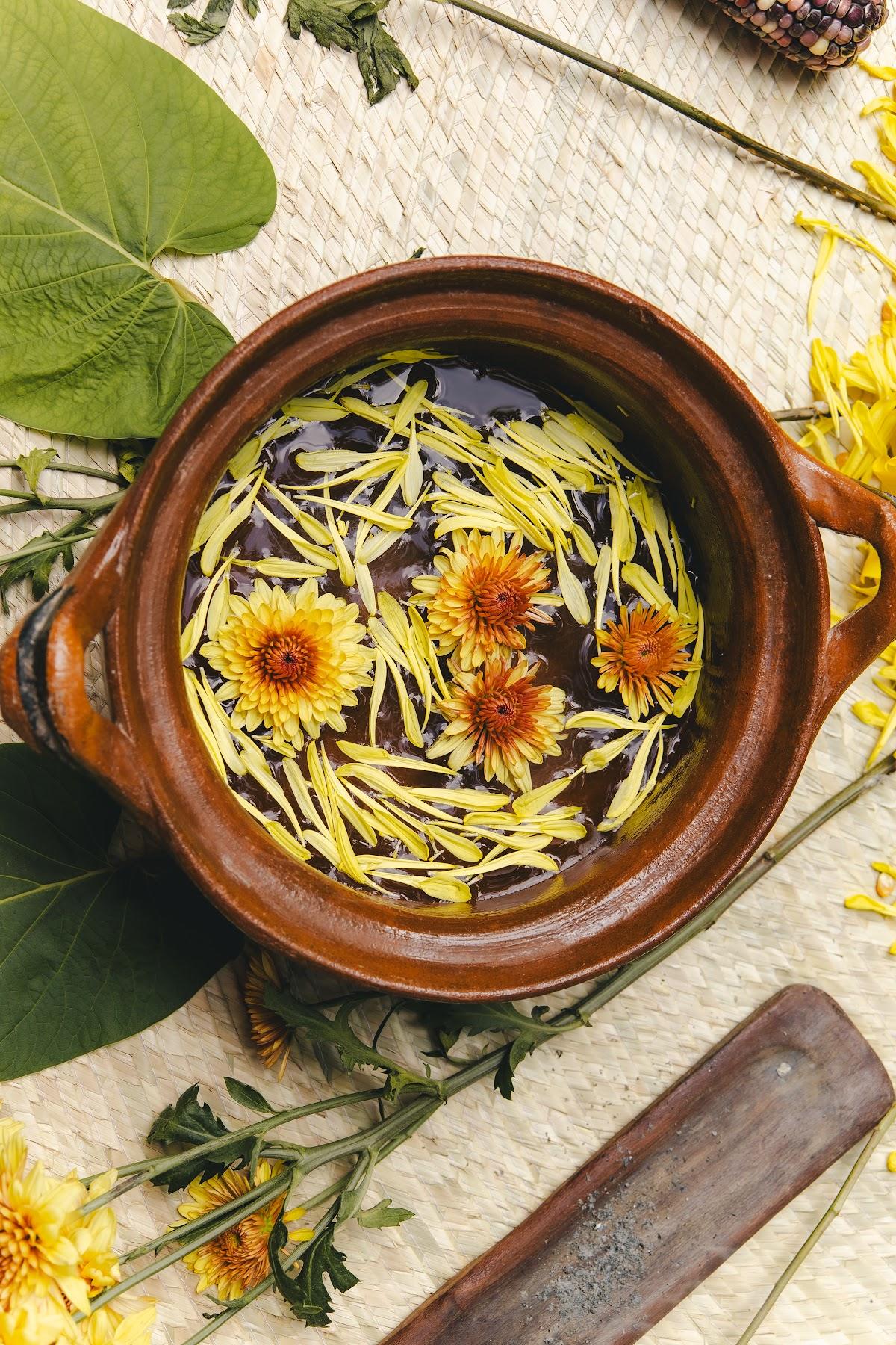 Olla de barro con flores / Clay pot with flowers