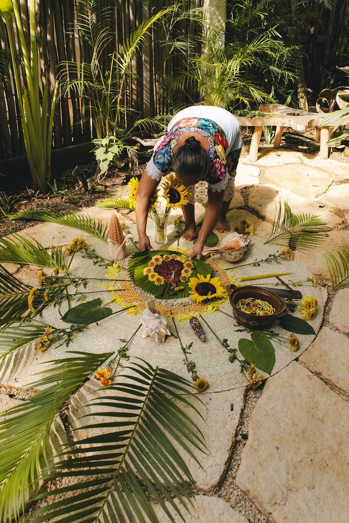 Siembra en el jardín / Planting in the garden